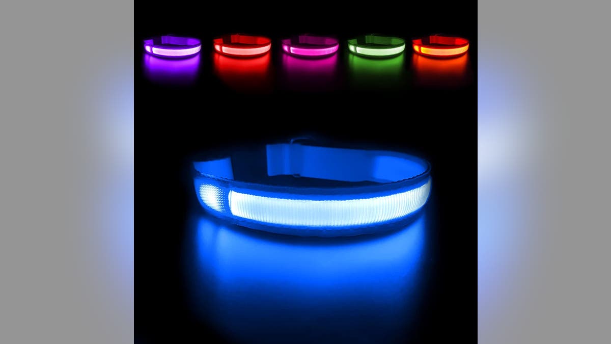 Make sure everyone can see your dog no matter what time you hike with this light-up collar. 