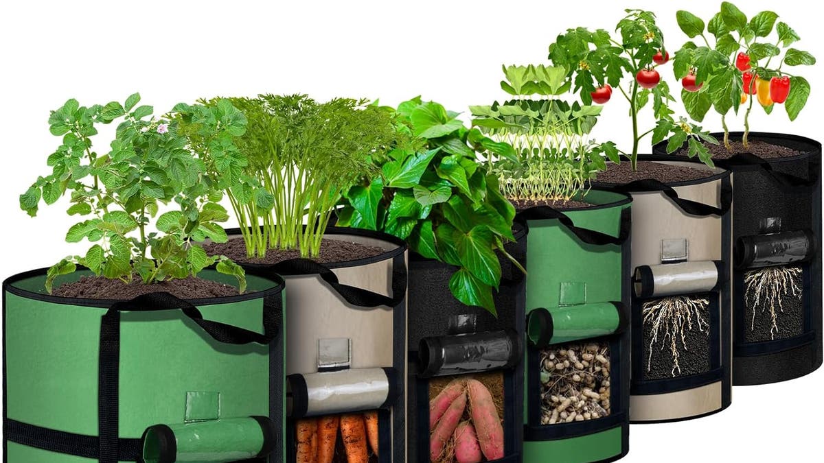 Grow veggies easily in these growing bags. 