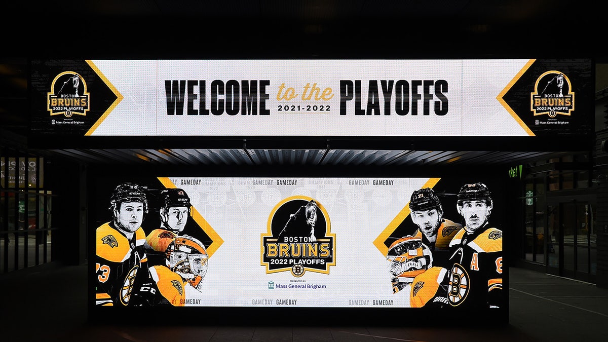 Bruins afişi