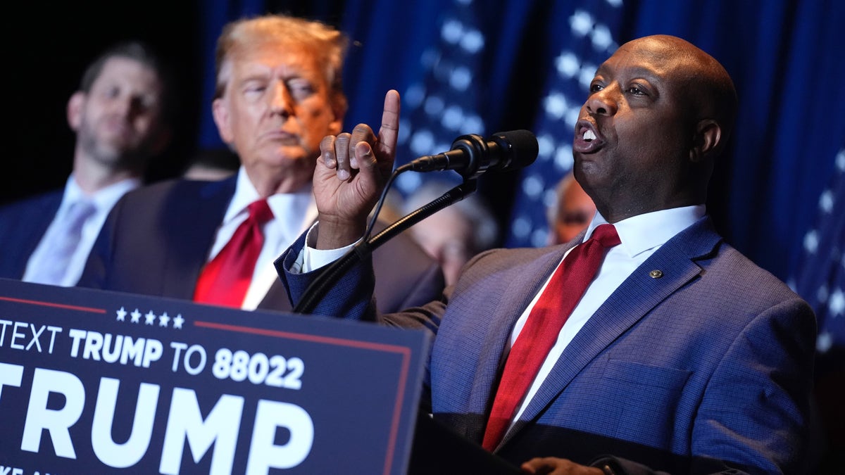 Tim Scott is simply a imaginable Trump moving mate