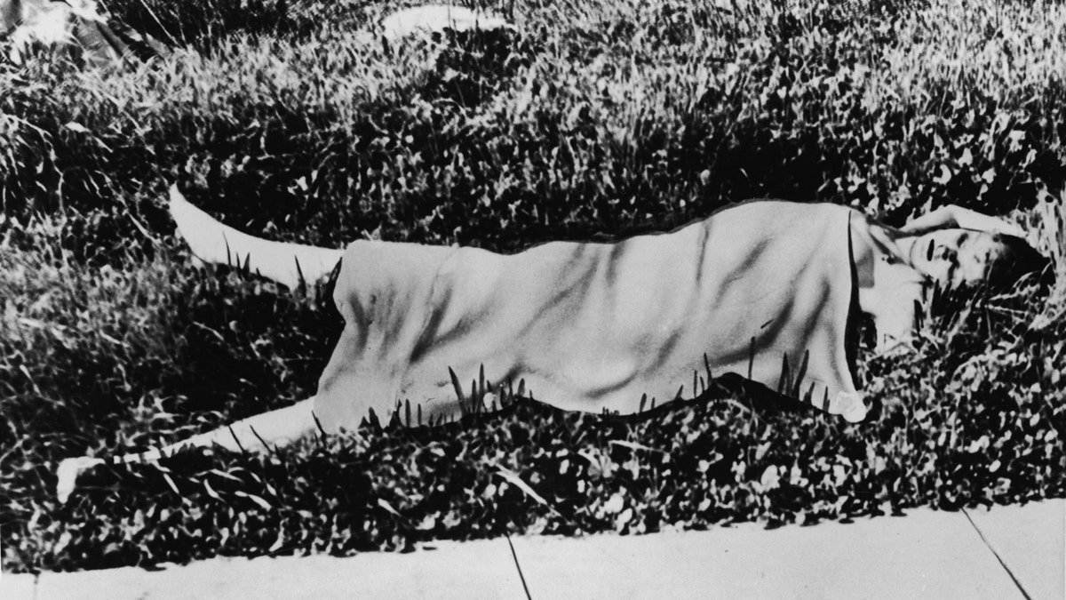 'Black Dahlia,' lies on a grassy field 