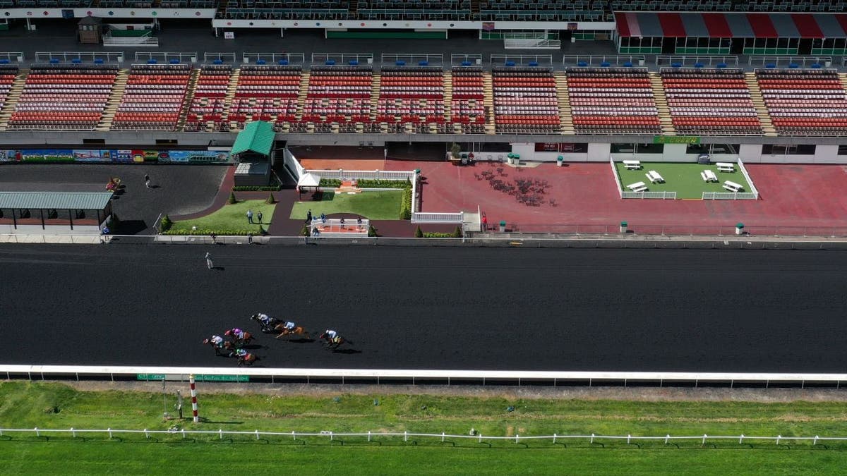 View of horses at track