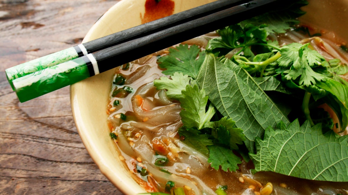 Vietnamese noodle soup