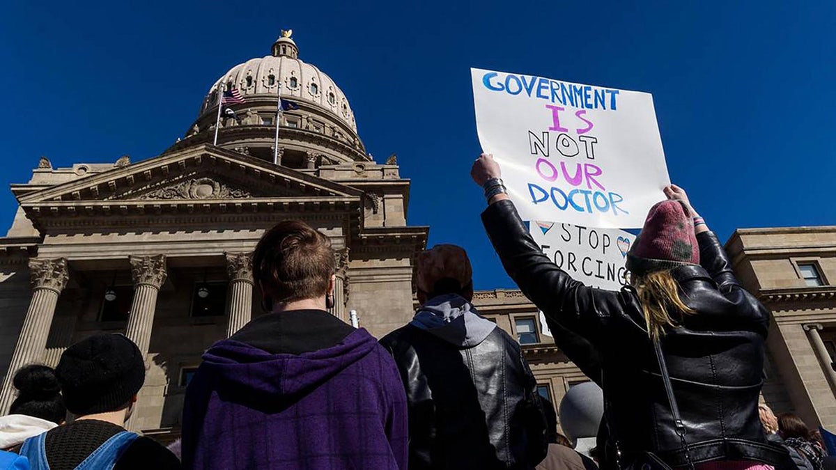 Pro-trans protesters at Idaho state capitol