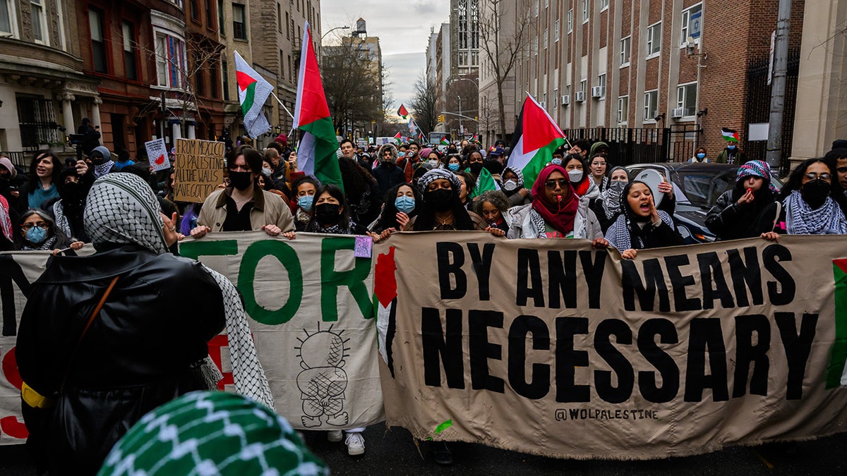 anti-Israel protestation  successful  NYC successful  Feb. 2024