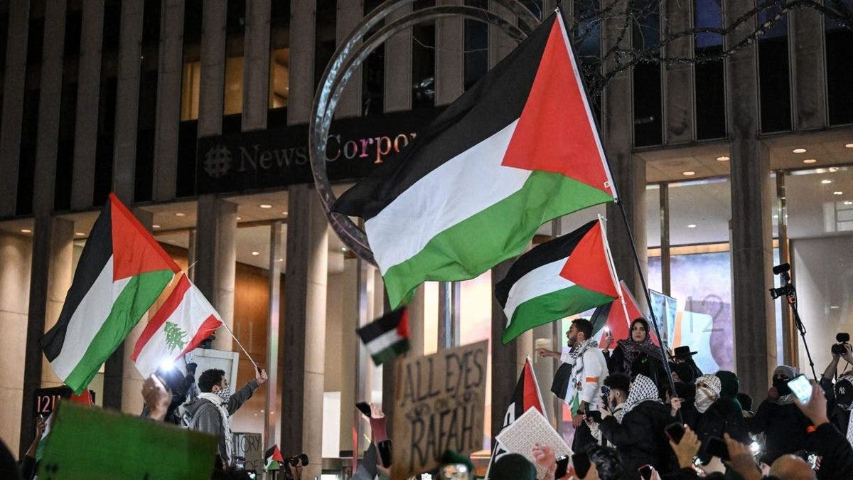 Palestine flag protest
