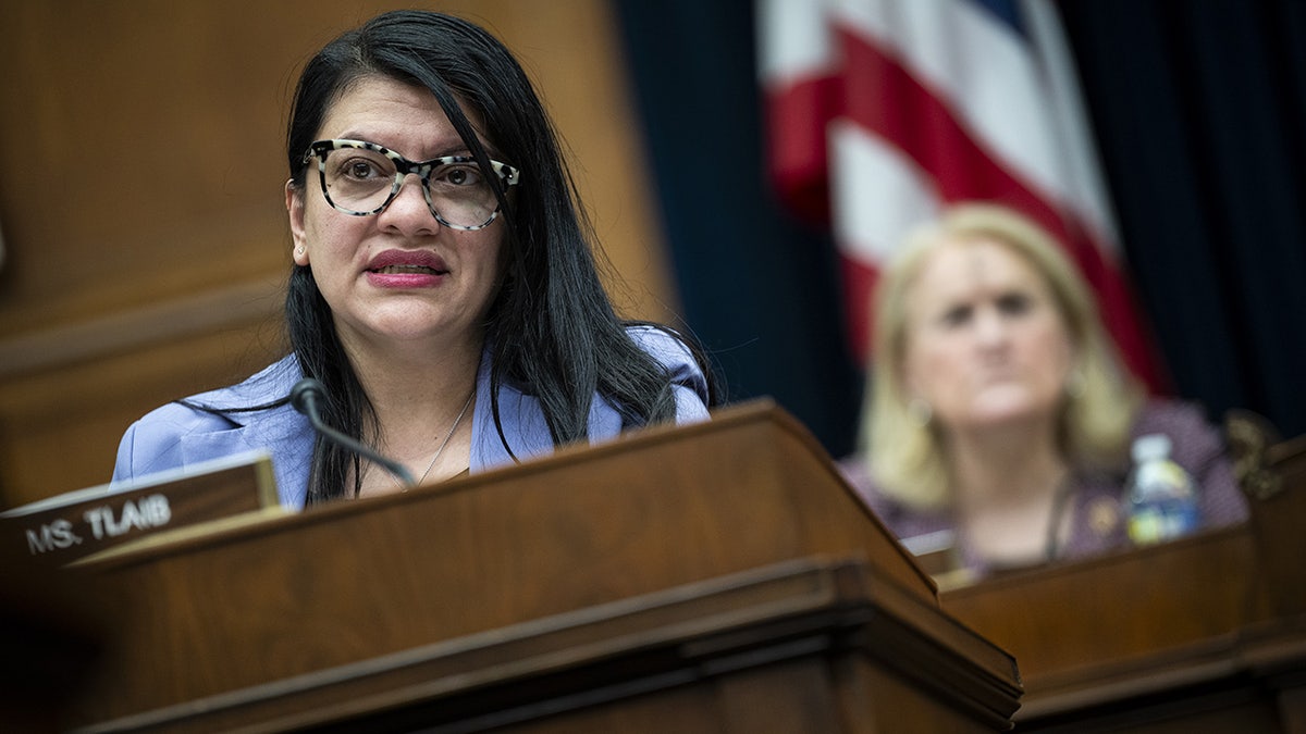 Tlaib during House hearing