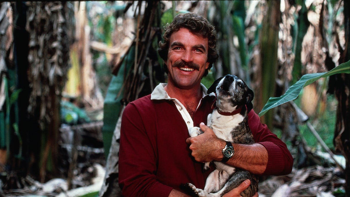 Tom Selleck holding a dog in Magnum P.I.