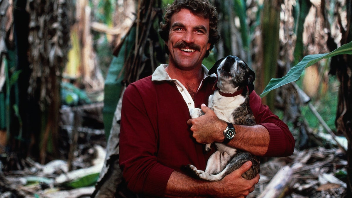 Tom Selleck holding a dog in Magnum P.I.