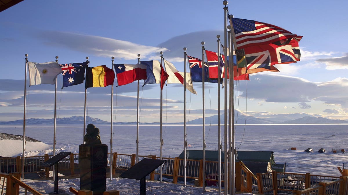 Antarctic Treaty flags