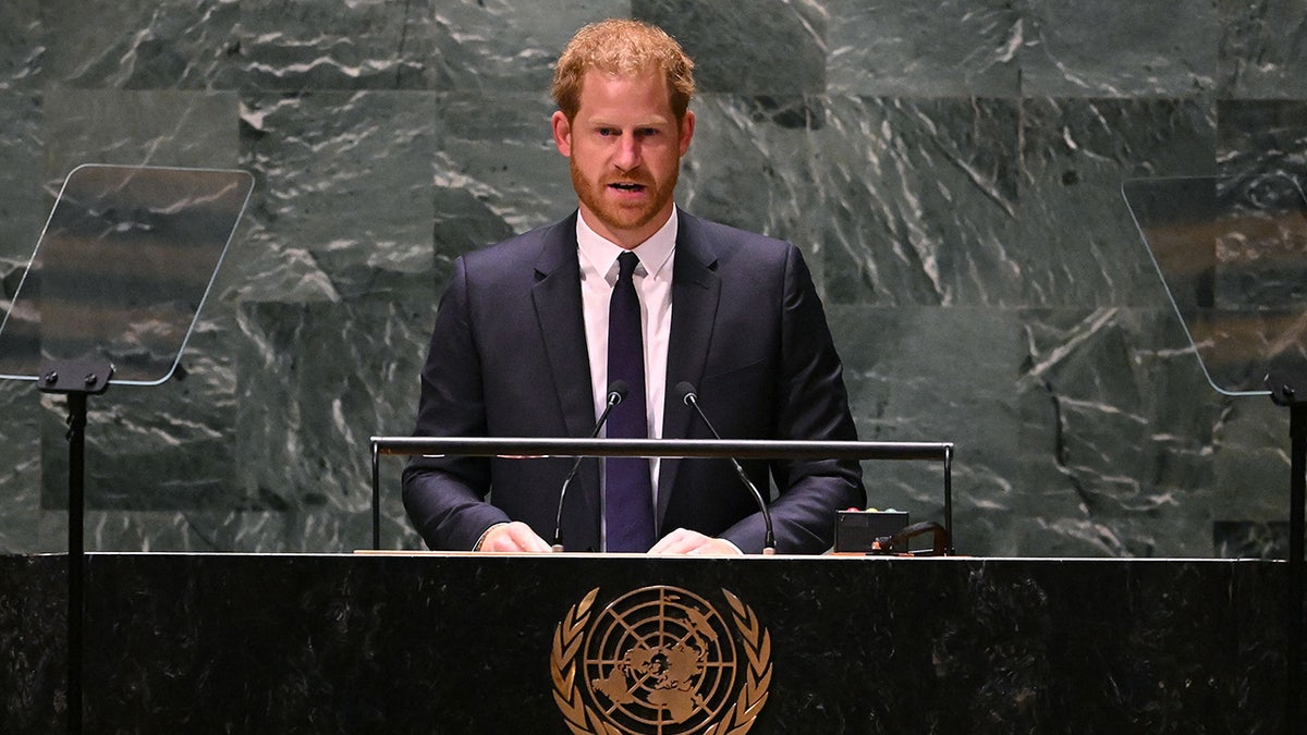 Prince Harry speaking at the United Nations