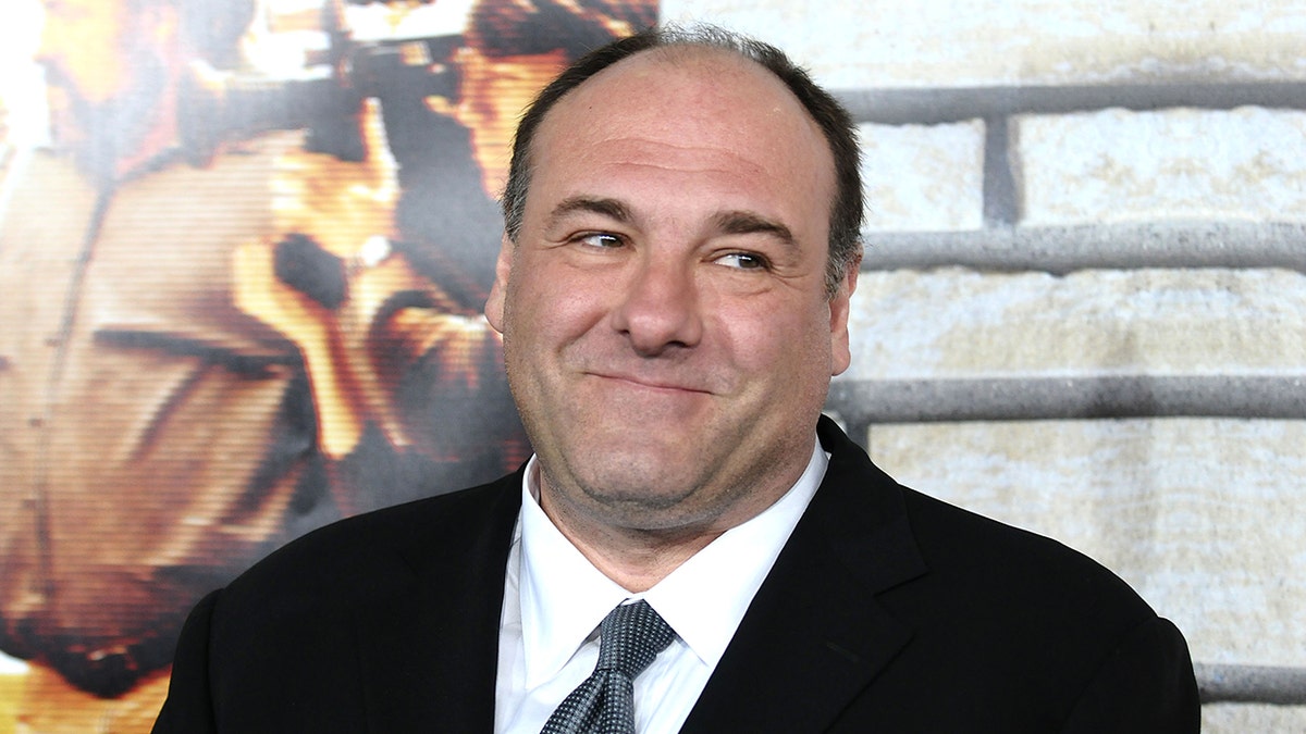 James Gandolfini wearing a suit and looking to the side smirking
