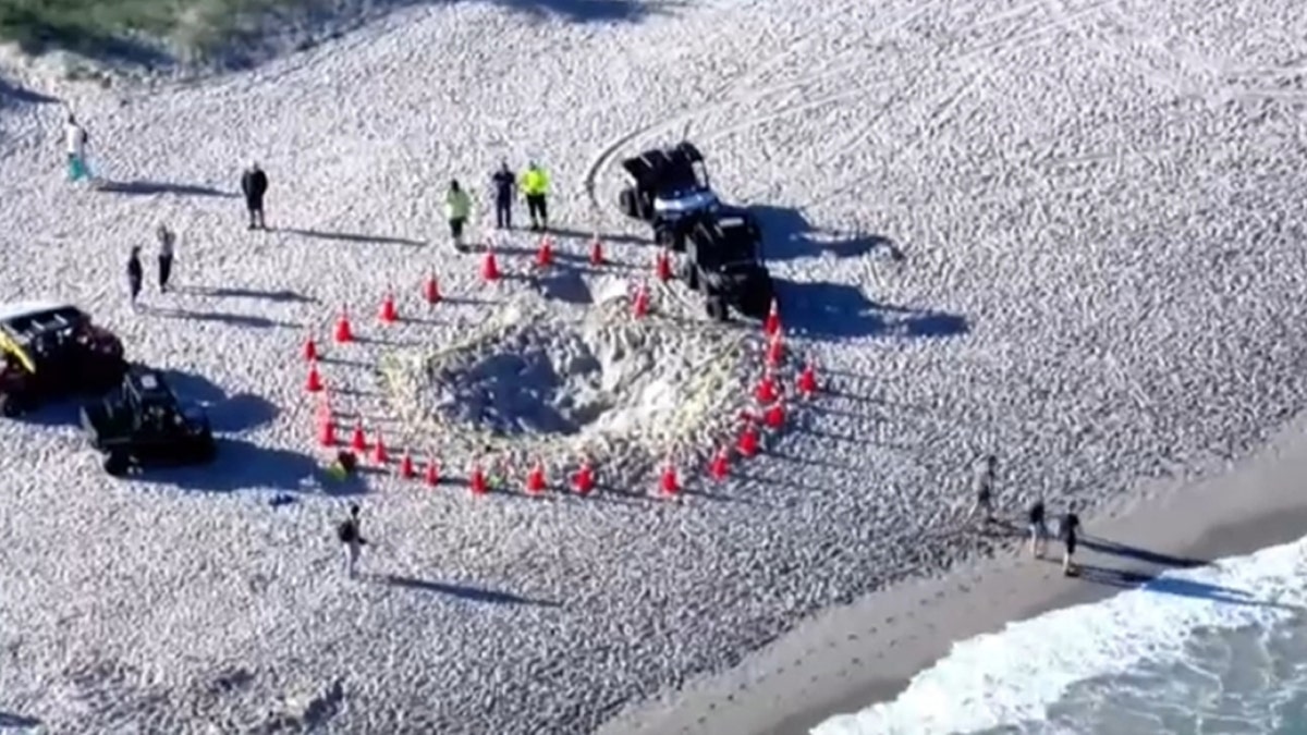 Cones surround a sand hole where a girl died