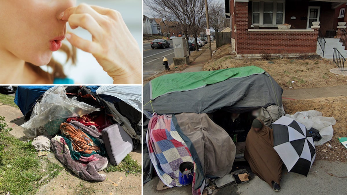 Homeless encampment in St. Louis, Missouri.
