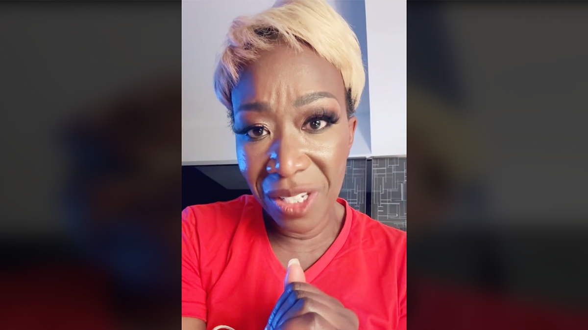 photo of Joy Reid on TikTok on Alabama IVF court ruling