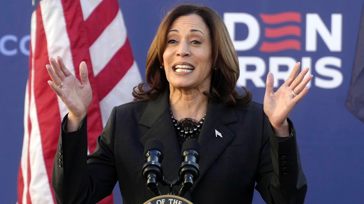 Kamala Harris campaigns successful  South Carolina connected  the eve of the state's Democratic statesmanlike  primary