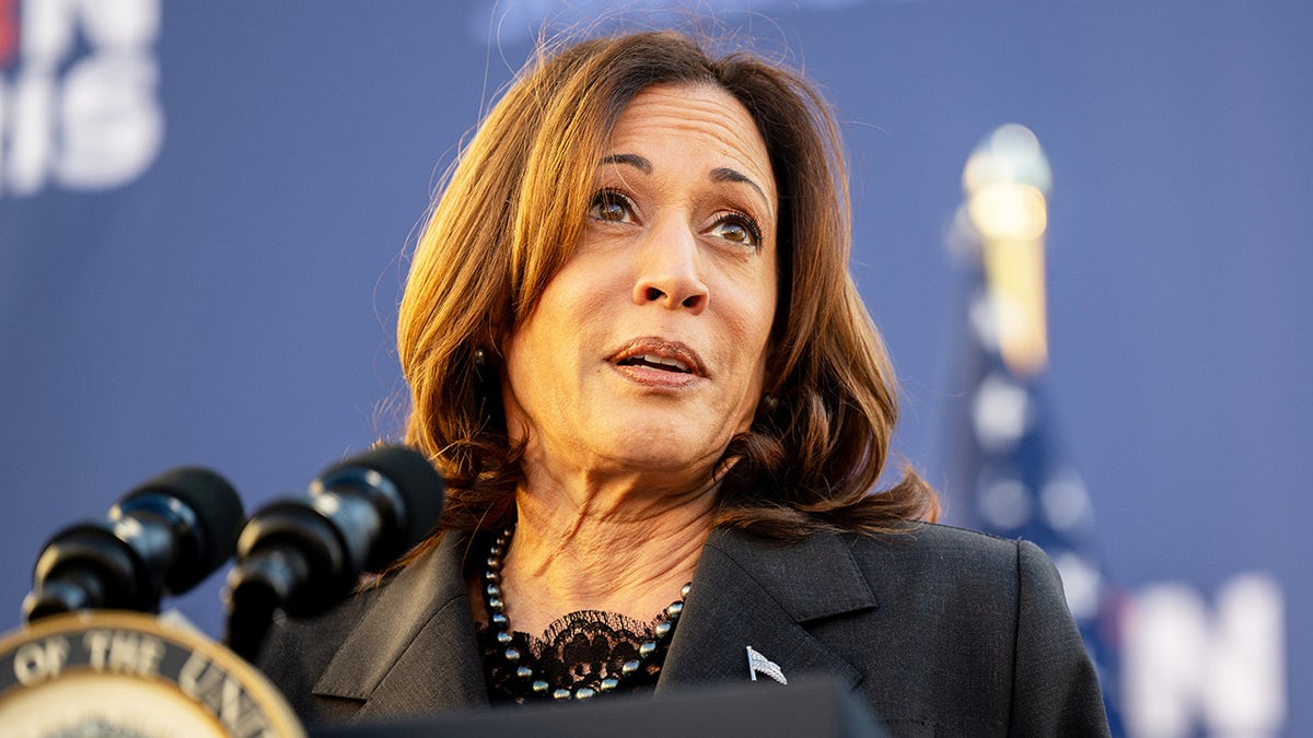 Kamala Harris called 'ineffective' on immigration issues by Biden