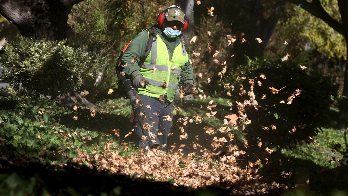 Pedro Ortiz from Allied Landscaping uses a gasoline-powered leaf blower to clear leaves and gardening debris in a Dublin townhome community on Thursday, October 14, 2021. Last Saturday, Governor Gavin Newsom signed a first-in-the-nation law to require new small-engine equipment used in landscaping to emit zero pollution meaning battery-operated or plug-in models only by as early as Jan. 1, 2024. (Photo by Sarah Dussault/MediaNews Group/The Mercury News via Getty Images)