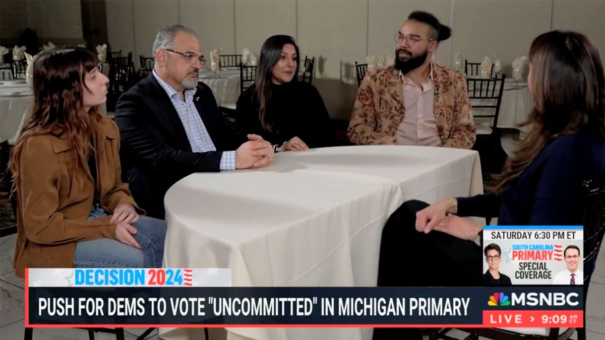 MSNBC panel of Michigan Democrats