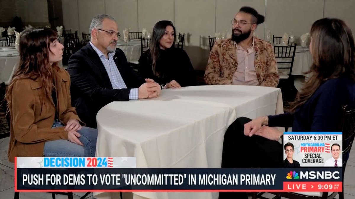 Panel MSNBC de demócratas de Michigan