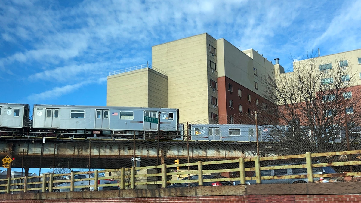 Subway train on tracks passing a building and dead tree