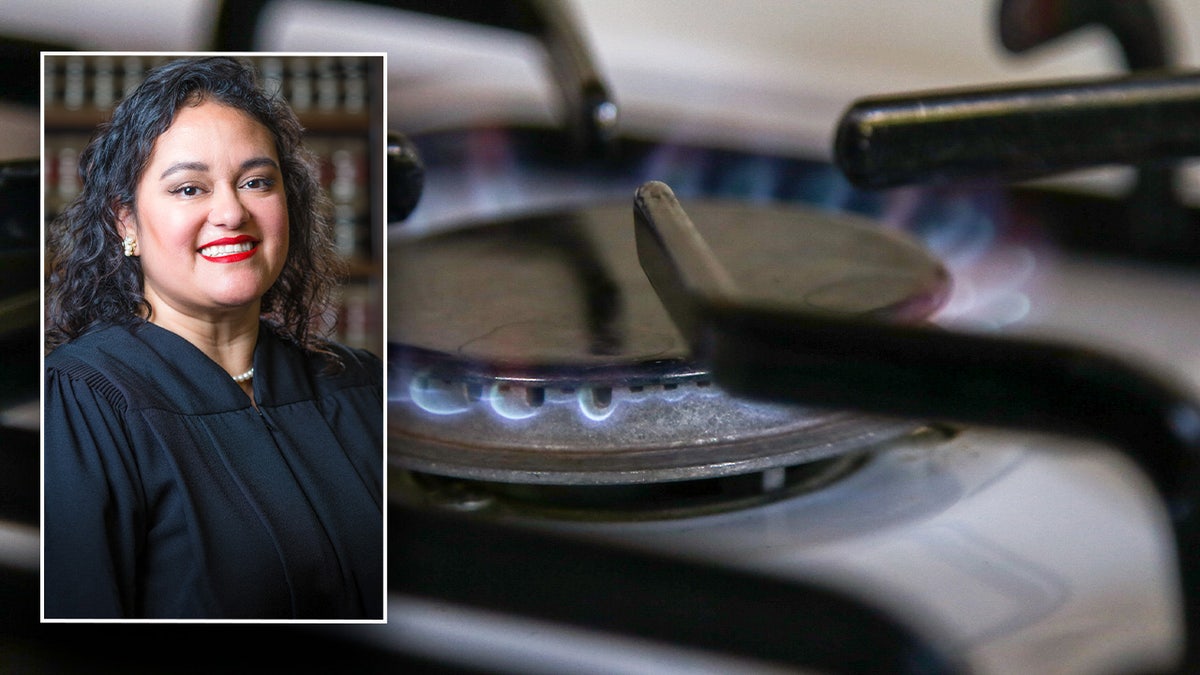 Judge Araceli Martínez-Olguín, of the U.S. District Court for the Northern District of California, largely dismissed the class action suit against gas stove manufacturer GE Appliances.