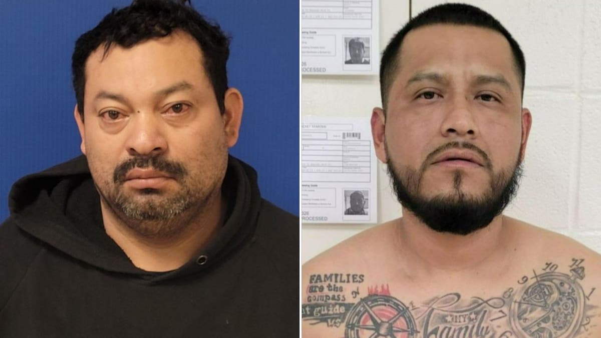  an illegal immigrant wanted for homicide apprehended along with a migrant who has a conviction for the molestation of a minor.