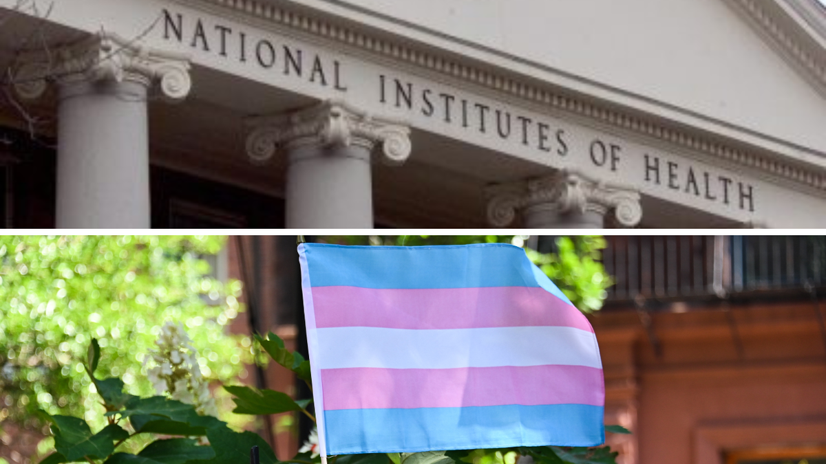 NIH/Trans Flag