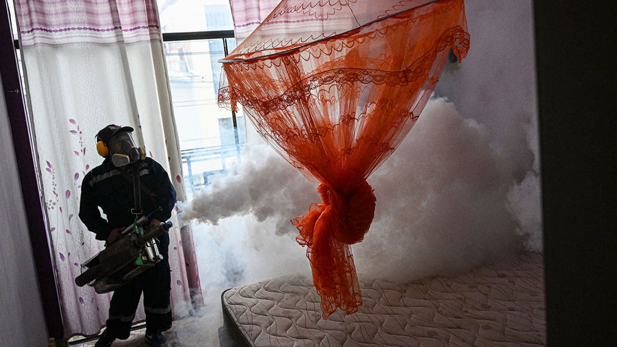 Fumigation to stop mosquitos 