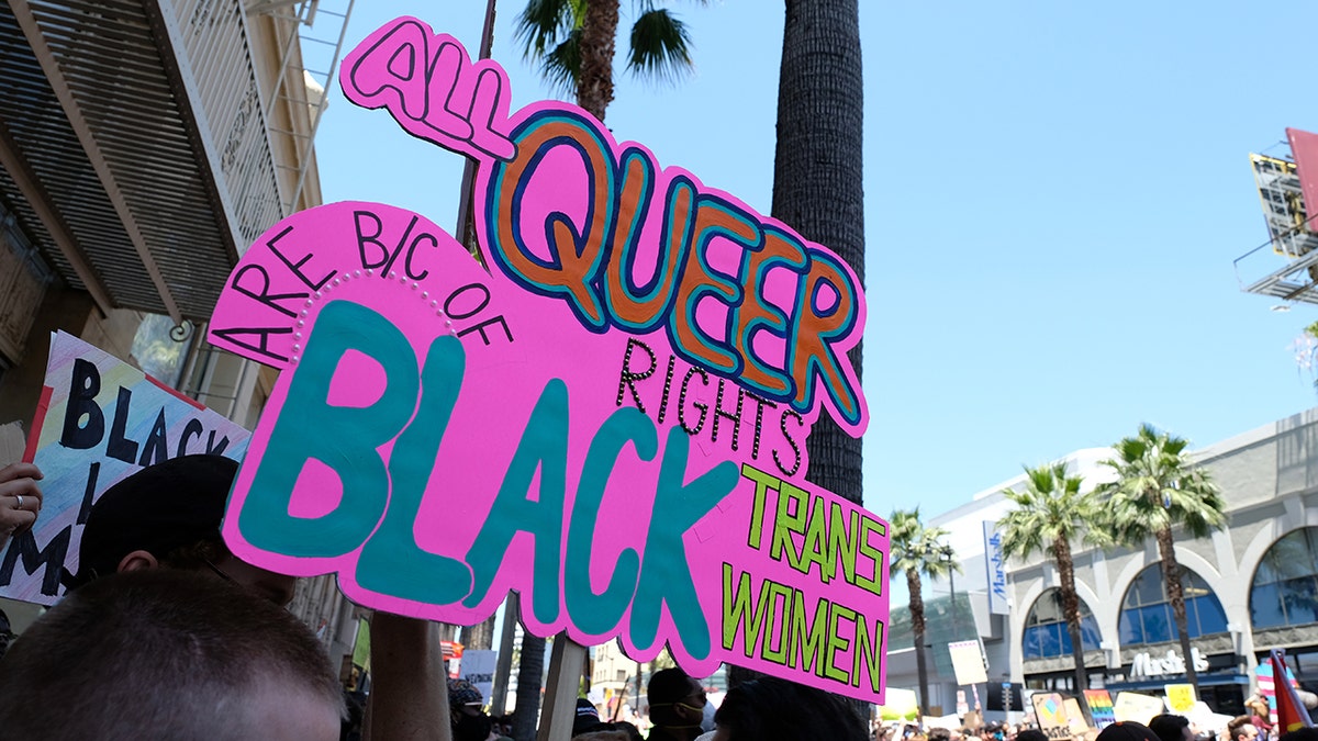 Sign held up during 2020 protest that reads "All queer rights are because of black rans women"