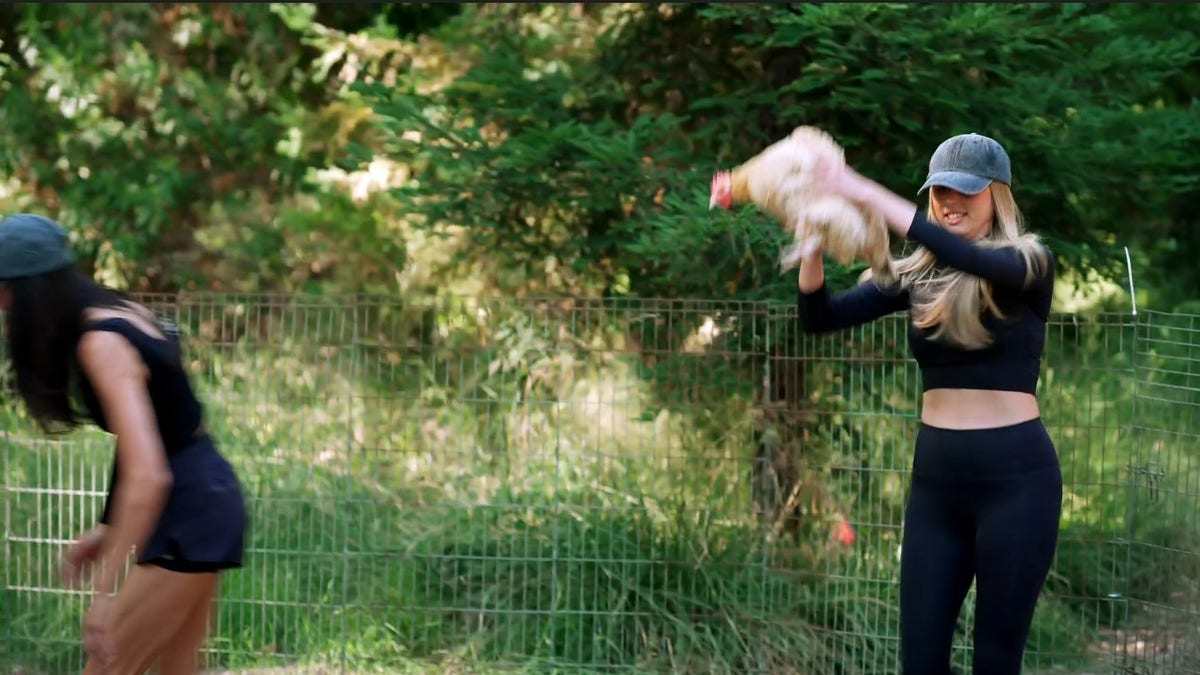 Sophia Stallone segurando uma galinha