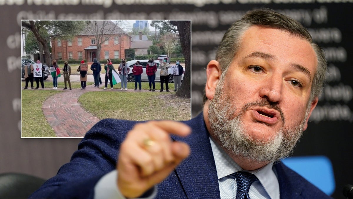 Ted Cruz in main image, anti-Israel agitators in left inset photo