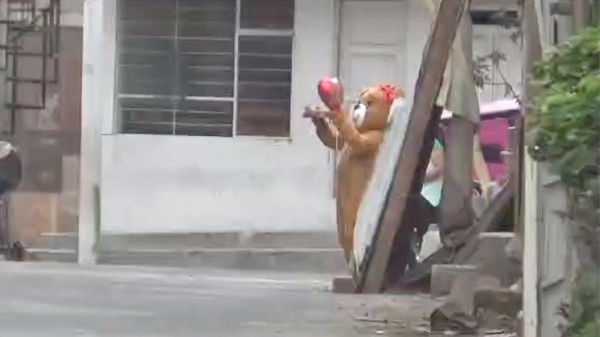 Video shows cop in Valentine’s Day bear costume take down suspected lady drug dealer