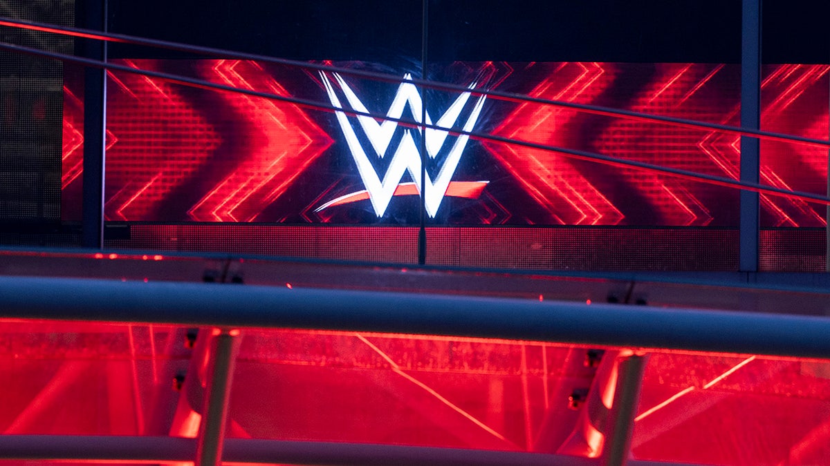 WWE logo in 2024