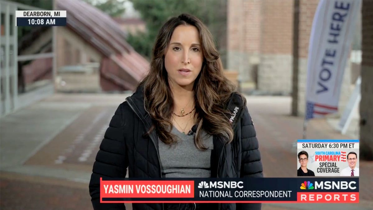 MSNBC's Yasmin Vossoughian in Michigan