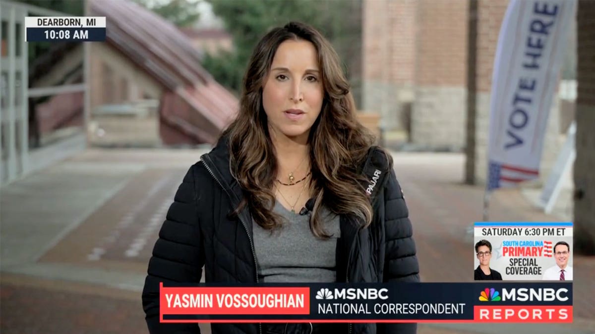 Yasmin Vossoughian de MSNBC en Michigan