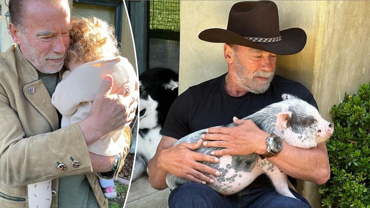 Arnold Schwarzenegger holds one of his granddaughters split Arnold in a cowboy hat cuddles a pig