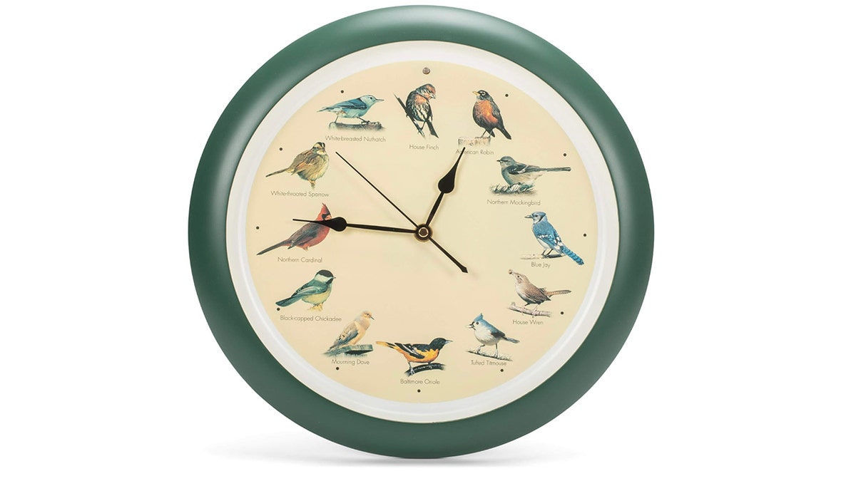 bird clock Amazon