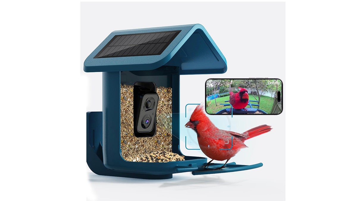 bird feeder with camera Amazon