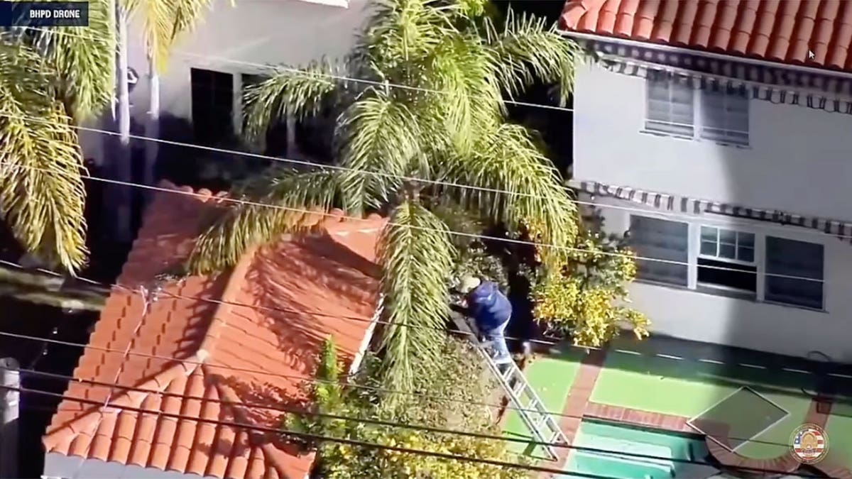 Burglar on ladder