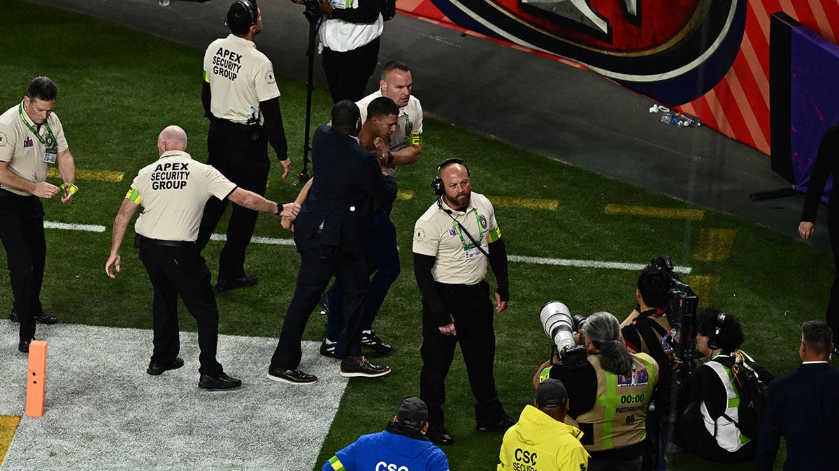 fãs do super bowl domesticam