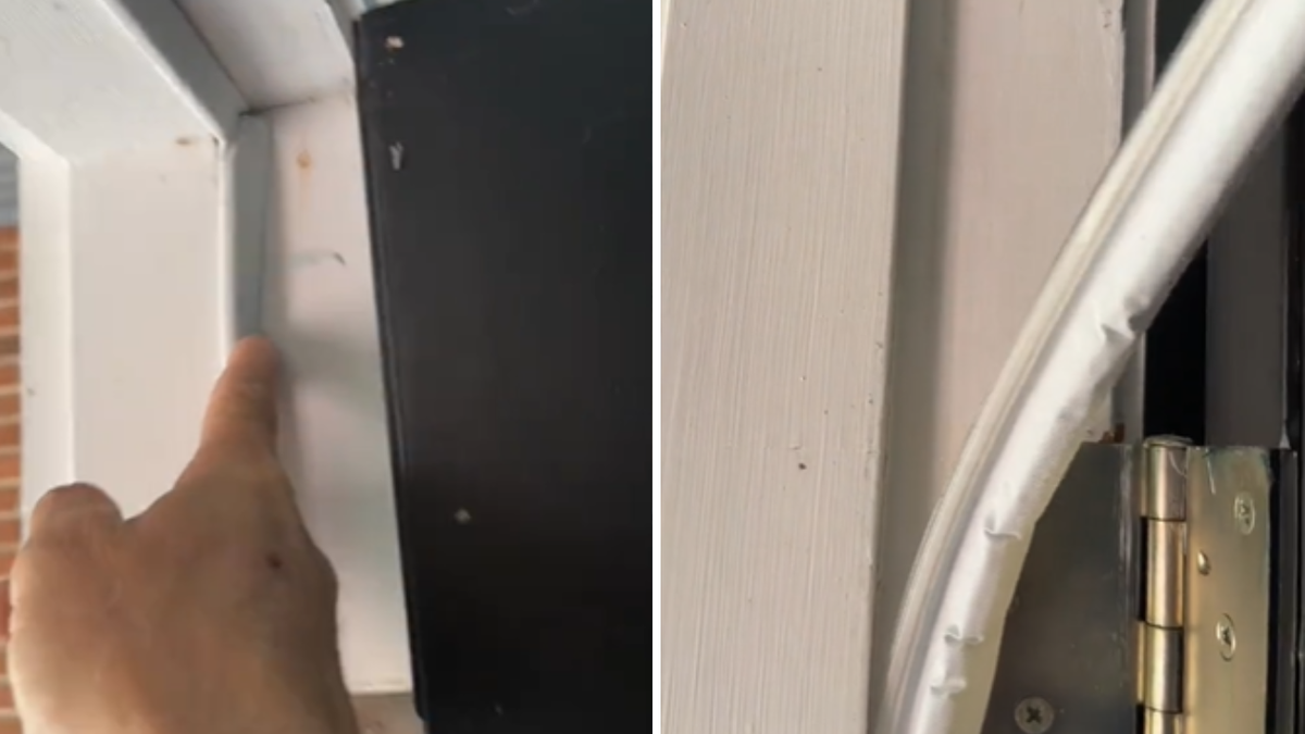 Gator TikTok video about door sealants