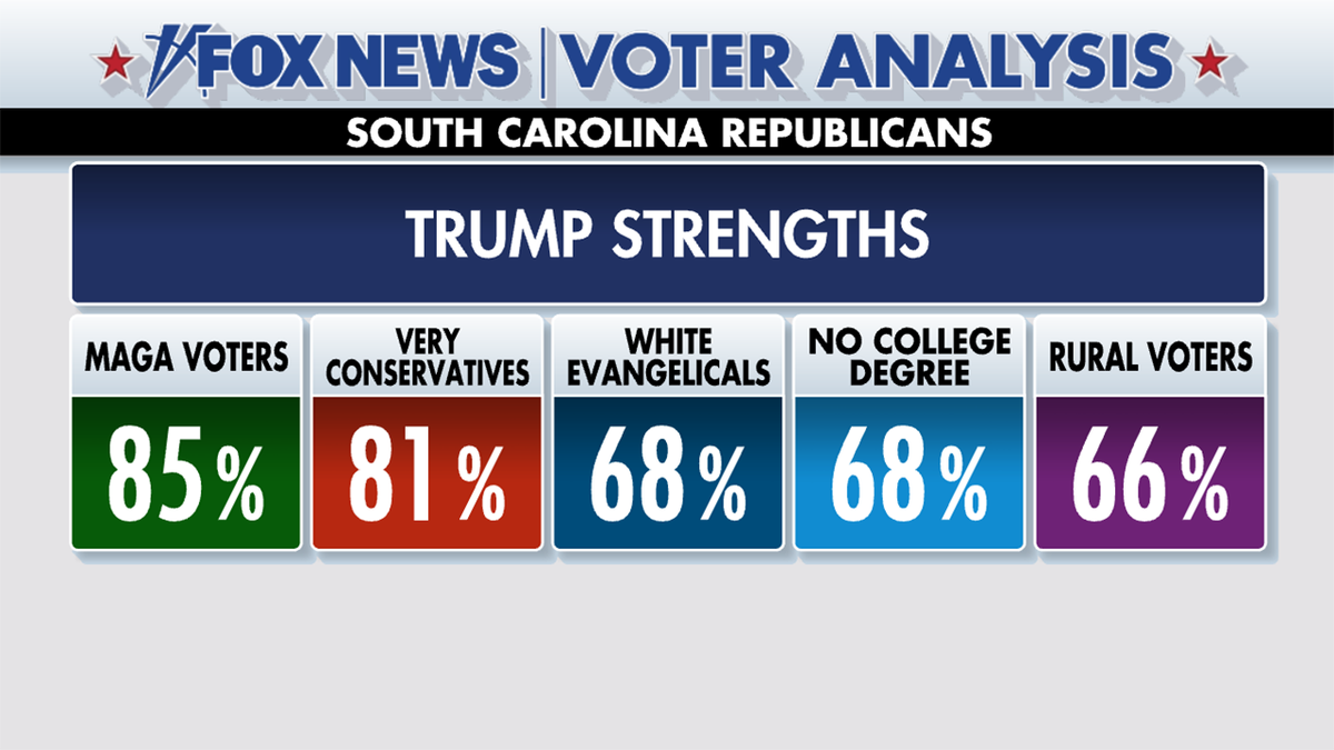 Fox News Voter Analysis