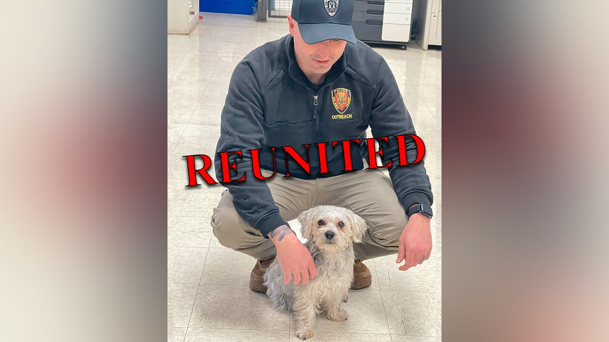 Lost dog reunited with owner