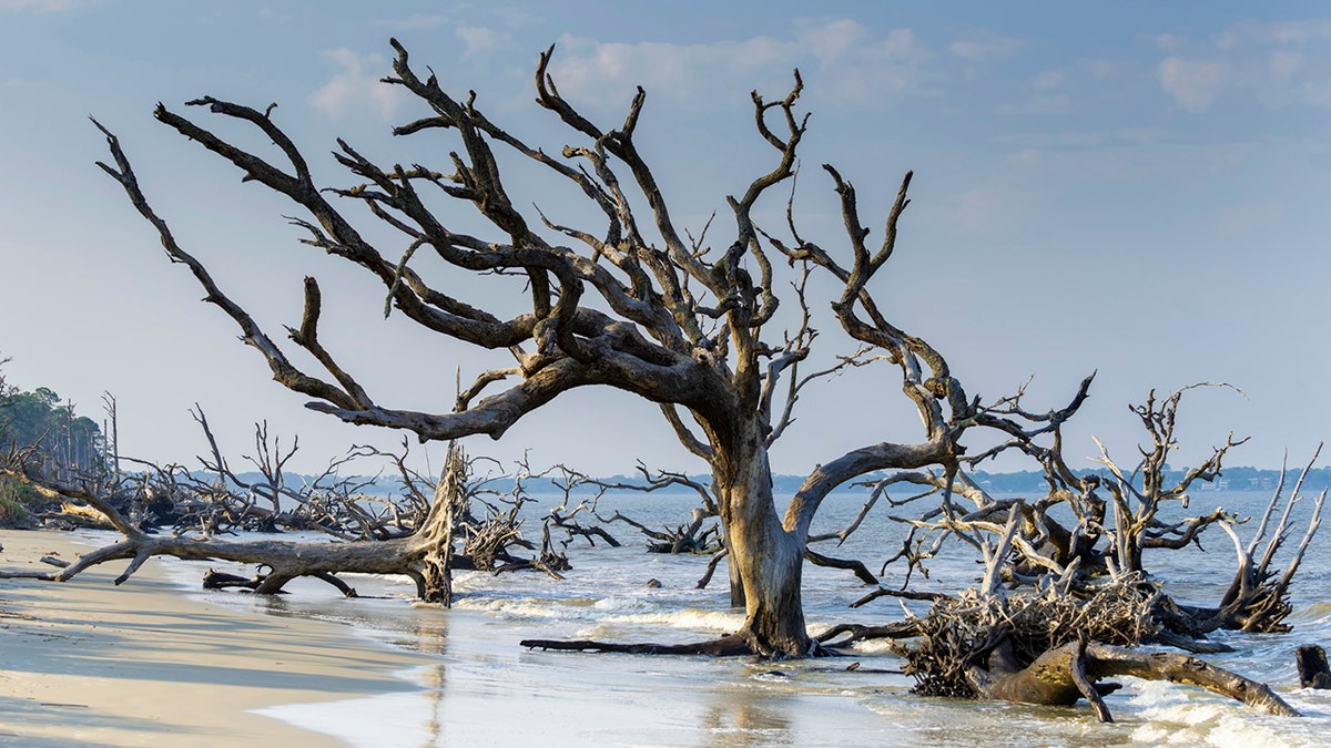 Jekyll Island beach