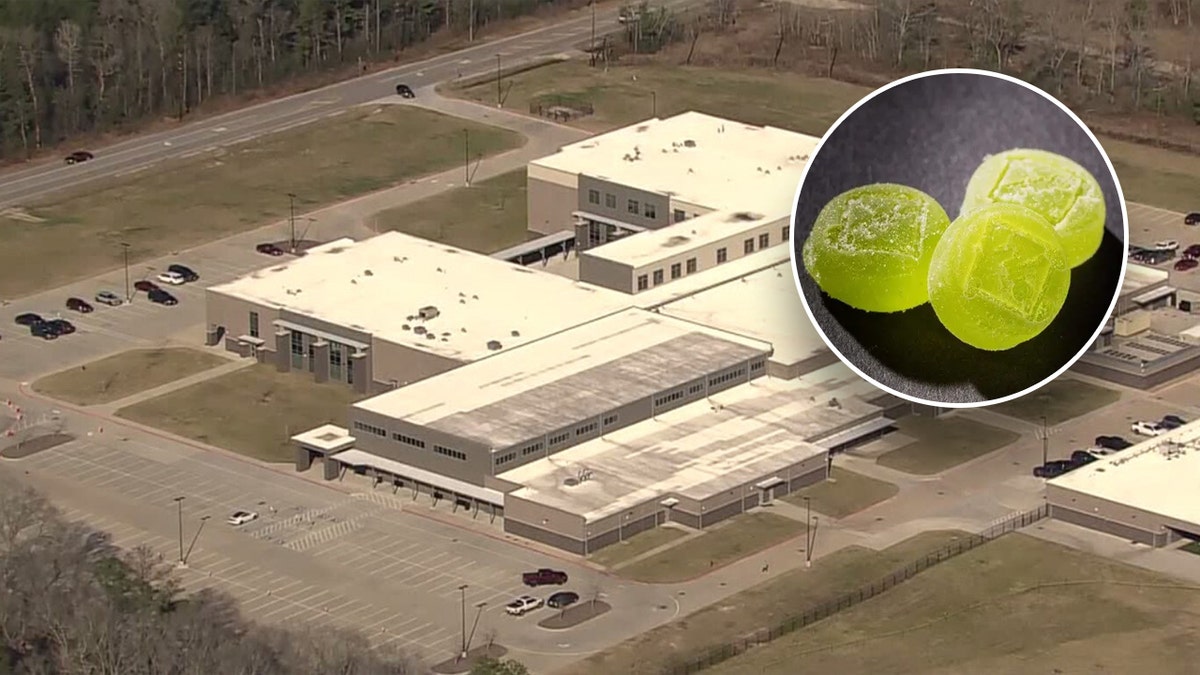 Keefer Crossing Middle School overhead shot