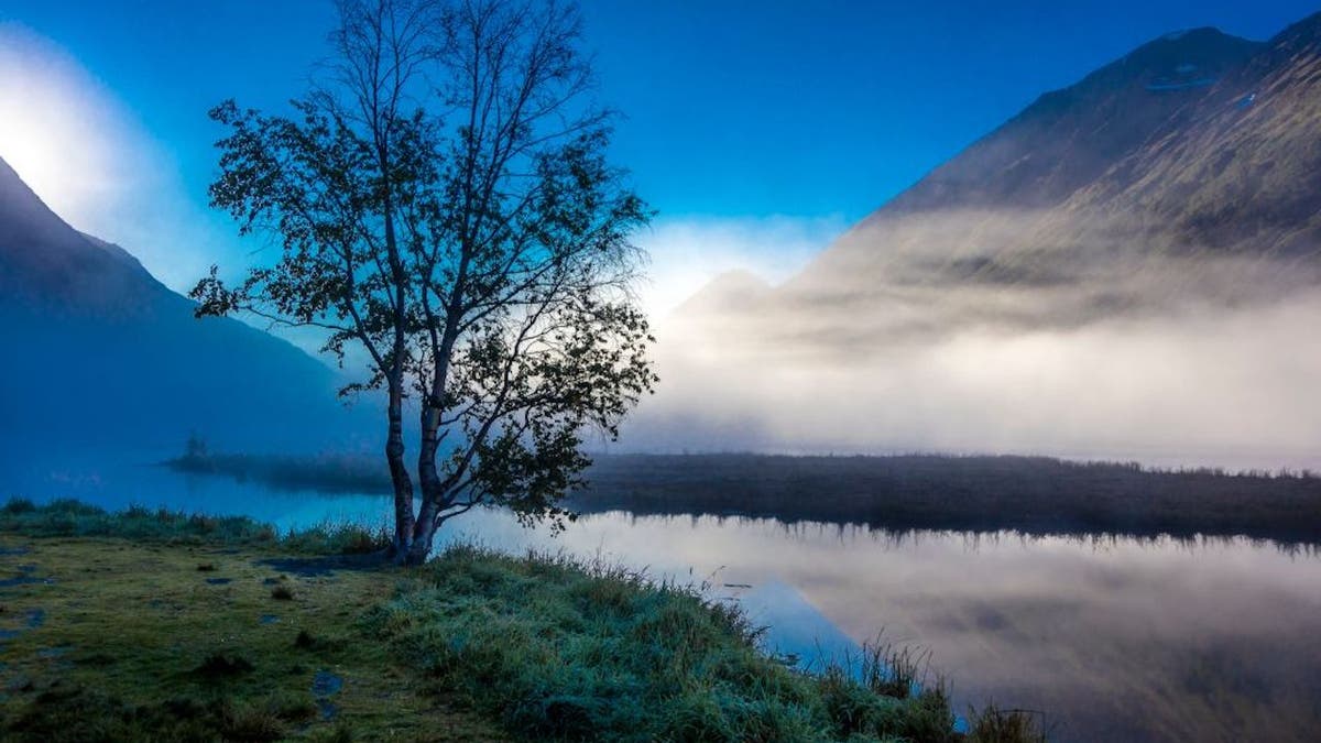 Kenai Peninsula