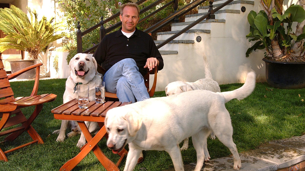 Kevin Costner brinca com animais de estimação no quintal de sua casa