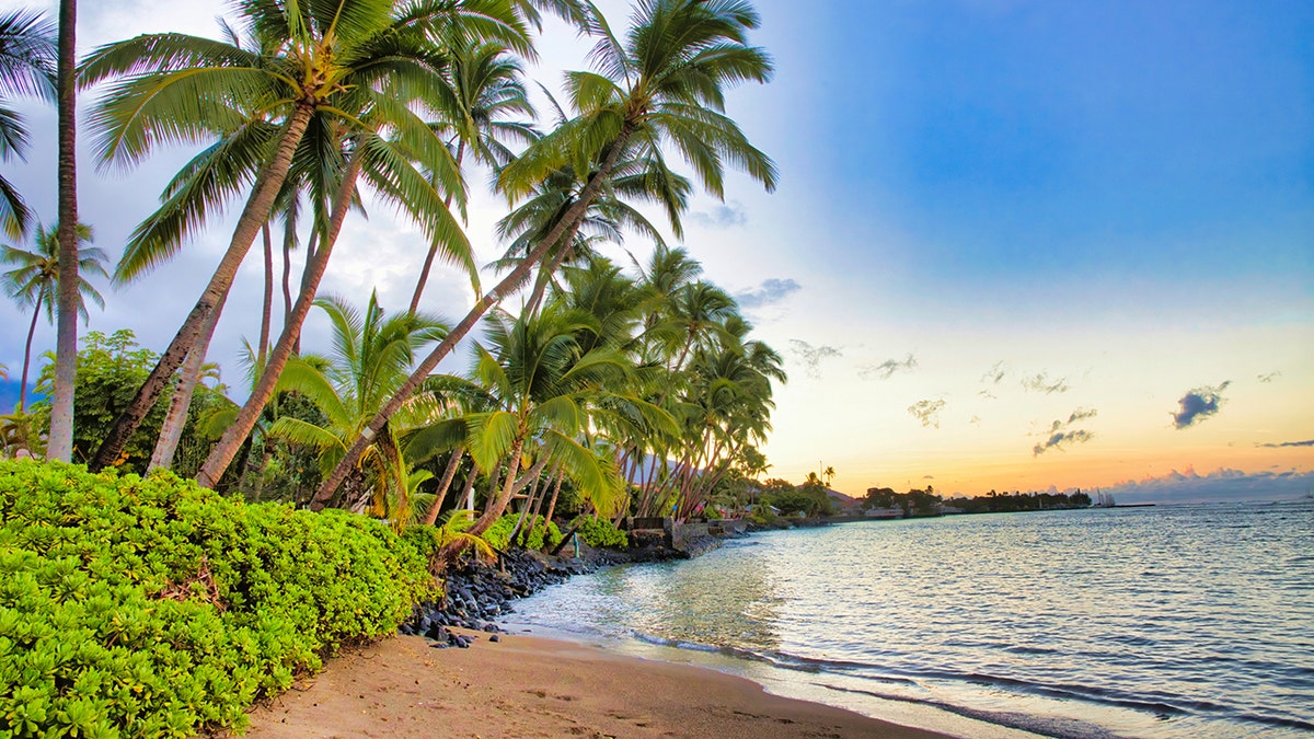 Lahaina beach