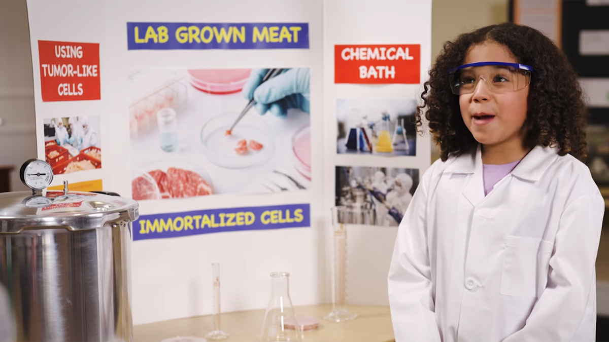 Lab-grown meat presentation